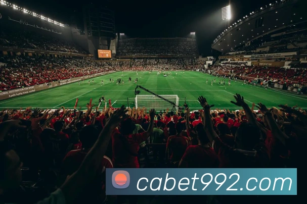 cabet亚州城平台生态图