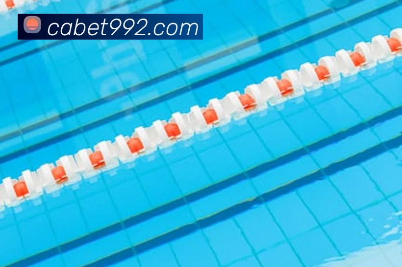 平台使命图